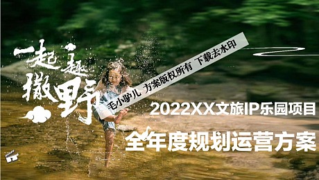 2022XXX 文旅IP乐园项目全年度运营规划方案