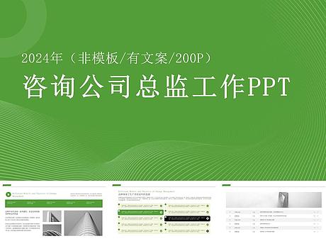 2024咨询公司总监PPT工作模型