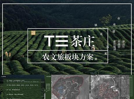T三茶庄-文旅项目规划
