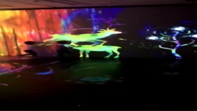 沉浸式展厅互动彩虹世界全息投影艺术展
