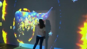 光影艺术展大鲸鱼沉浸式投影互动光影艺术全息投影梦幻鲸鱼岛