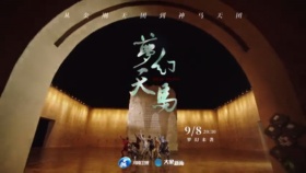 河南卫视联合聚划算打造的“神马奇妙夜”盲盒音乐会